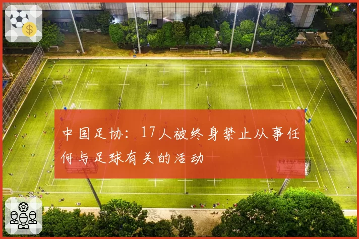 中国足协：17人被终身禁止从事任何与足球有关的活动